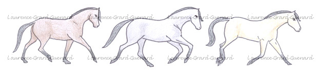 allures defectueuses