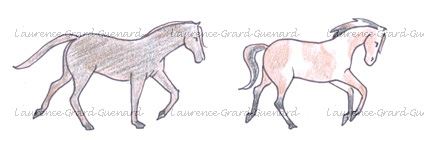 allures defectueuses