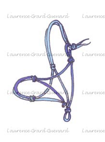 licol américain