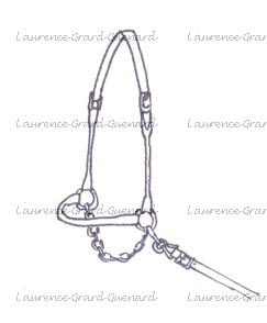 licol de présentation