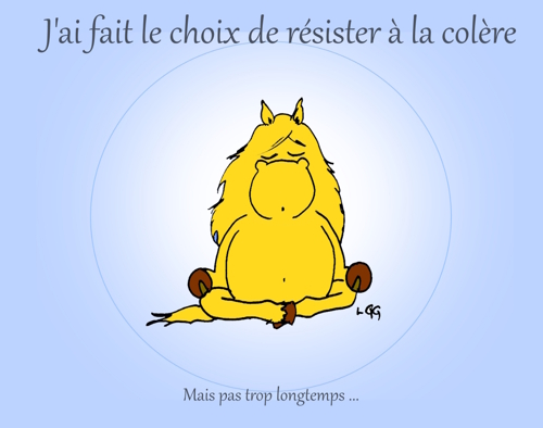 agressivit en quitation